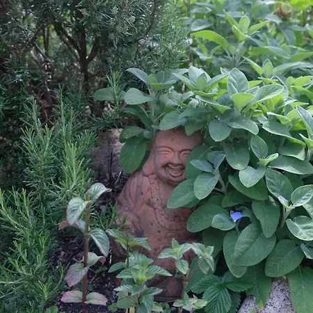 Апартаменты Achterdeck Mit Sauna Эккернфёрде