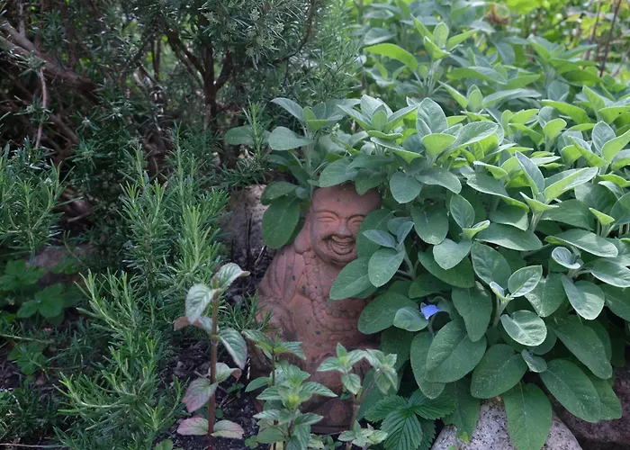 Lägenhet Achterdeck Mit Sauna Eckernförde