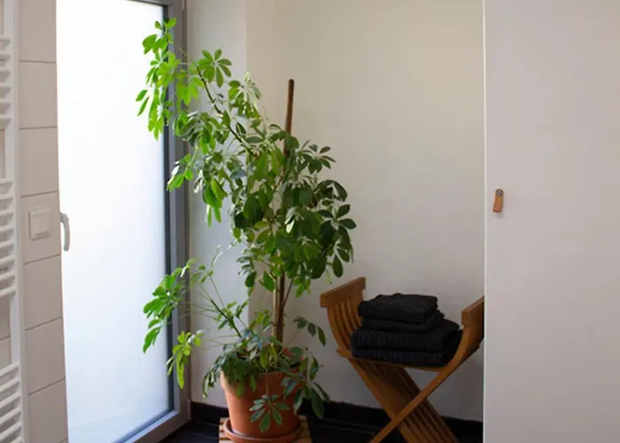 Achterdeck Mit Sauna * Eckernförde